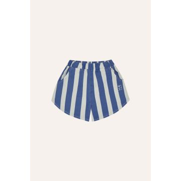 The Campamento Blue Stripes Washed Shorts