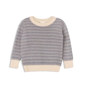 Looms Distressed Knit Sweater