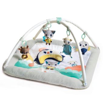 Tiny Love Polar Wonders Plush Gymini