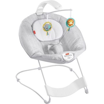 Fisher Price See & Soothe Deluxe Bouncer