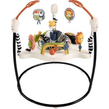 Fisher-Price Baby Bouncer Palm Paradise Jumperoo Activity Center