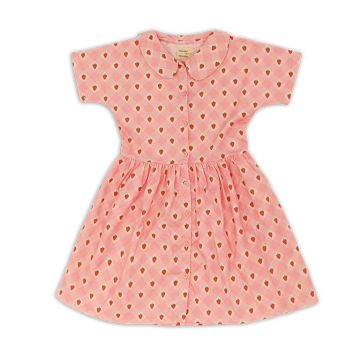 Wander & Wonder Aria Dress Pink Straberry Check