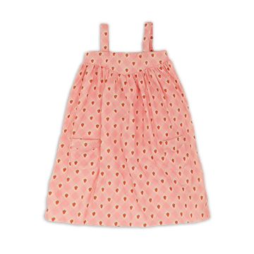 Wander & Wonder Ottilie Dress Pink Straberry Check