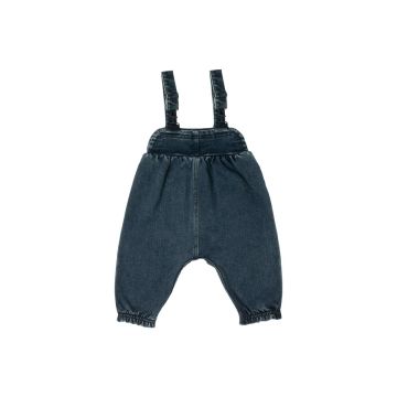 Crew Kids Blue Oakley Overalls