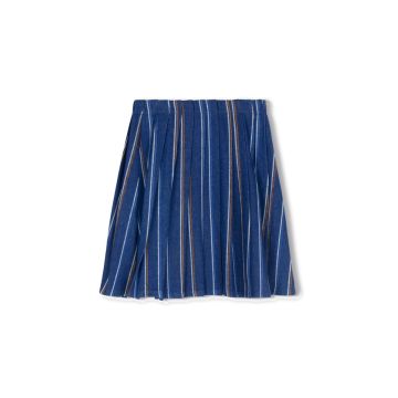 Phil & Phoebe Shaft Denim Striped Pleated Skirt