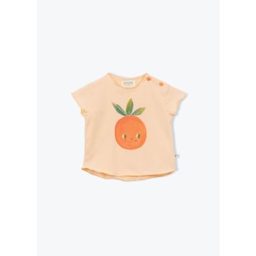 Arsene Fodora Tee Shirt