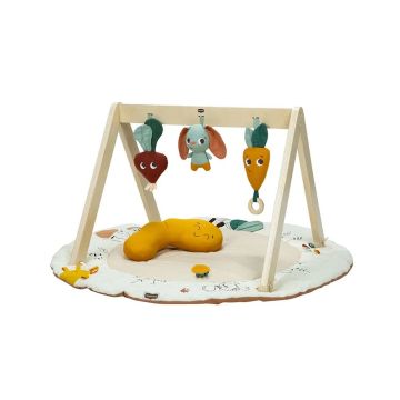 Tiny Love Garden Of Adventure Wooden Gymini