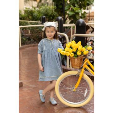 Limonana Denim Dress