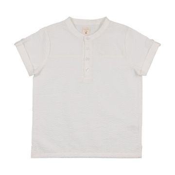 Analogie Dress Shirt - Mandarin Collar