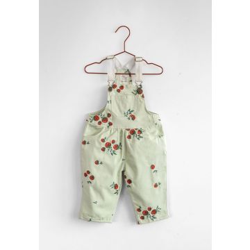 Please Mom Mint Strawberry Overalls