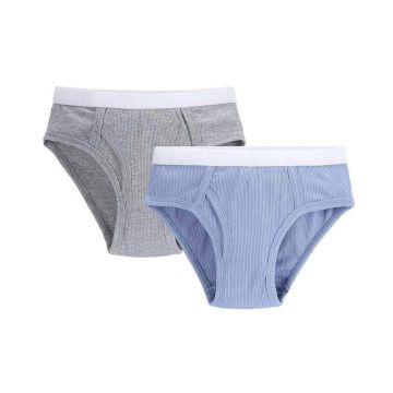 Boys Briefs Underwear Set