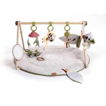 Tiny Love Boho Chic Gymini