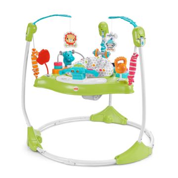 Fisher-Price® Fitness Fun™ Folding Jumperoo™