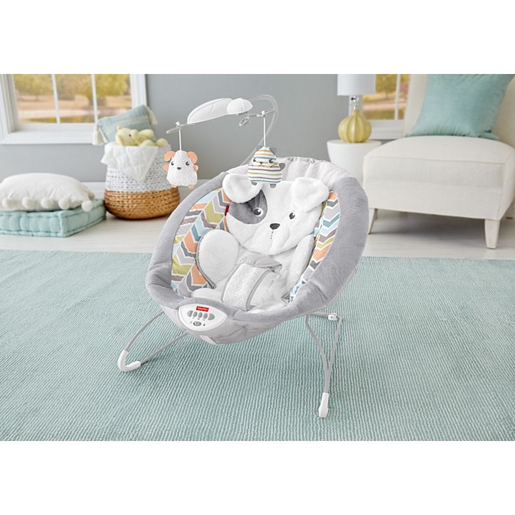 fisher price bear bouncer