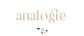 Analogie